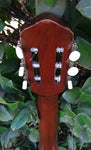 60’s Harmony Classical H174
