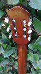 60’s Harmony Classical H174