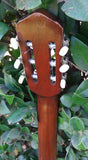 60’s Harmony Classical H174