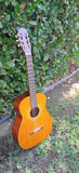 60’s Harmony Classical H174
