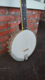 70's Vega Martin Pro 5 String Banjo (longneck)