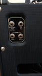 Supro Blues King 12