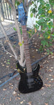 Schecter Black Diamond Series Hellraiser