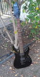 Schecter Black Diamond Series Hellraiser