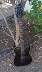 Schecter Black Diamond Series Hellraiser