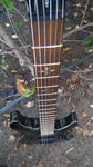 Schecter Black Diamond Series Hellraiser