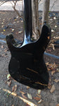 Schecter Black Diamond Series Hellraiser