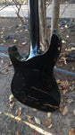 Schecter Black Diamond Series Hellraiser