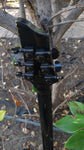Schecter Black Diamond Series Hellraiser