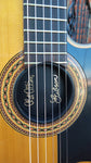 1992 Gibson Chet Atkins CE