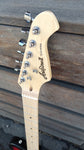 Aria Pro II TEG-002-3TS
