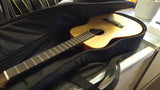LX1 Little Martin