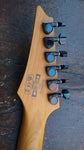 Ibanez RGEW521ZC
