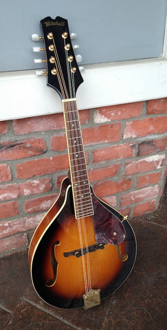 Mitchell Mandolin