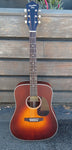 Recording King Series 11 Dreadnought with Fishman RDS-11-FE3-TBR