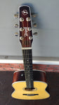 Seagull Maritime SWS SG