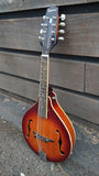 Epiphone Mandolin with Pickup