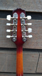 Epiphone Mandolin with Pickup