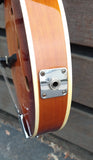 Epiphone Mandolin with Pickup
