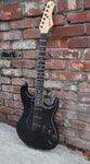 Tagima TW Series TG-500