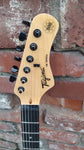Tagima TW Series TG-500