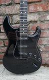 Tagima TW Series TG-500