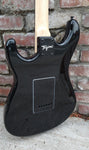 Tagima TW Series TG-500