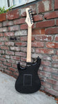 Tagima TW Series TG-500