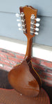 1950's Gibson Mandolin