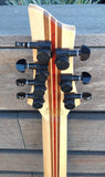 Schecter C-7 Elite (7 String)