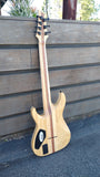 Schecter C-7 Elite (7 String)
