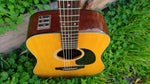 Takamine EF-340