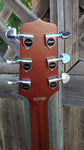 Takamine EF-340