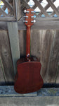 Takamine EF-340