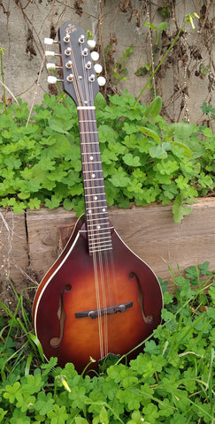 The Loar Honey Creek LM 110BRB E with Fishman Pickup