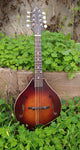 The Loar Honey Creek LM 110BRB E with Fishman Pickup