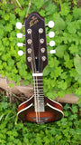 The Loar Honey Creek LM 110BRB E with Fishman Pickup