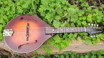 The Loar Honey Creek LM 110BRB E with Fishman Pickup
