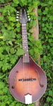 The Loar Honey Creek LM 110BRB E with Fishman Pickup