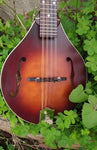 The Loar Honey Creek LM 110BRB E with Fishman Pickup