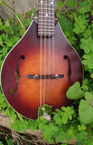 The Loar Honey Creek LM 110BRB E with Fishman Pickup