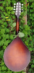 The Loar Honey Creek LM 110BRB E with Fishman Pickup