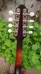 The Loar Honey Creek LM 110BRB E with Fishman Pickup