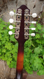 The Loar Honey Creek LM 110BRB E with Fishman Pickup