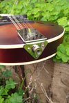 The Loar Honey Creek LM 110BRB E with Fishman Pickup