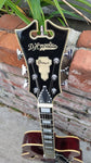 D'angelico Premier DAPEXL