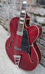 D'angelico Premier DAPEXL