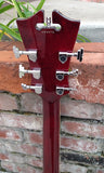D'angelico Premier DAPEXL