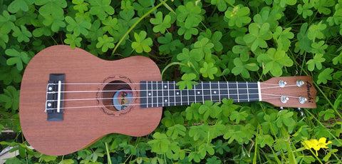 AMAHI UK660C Concert Ukulele w/Case - Koa Wood - UK-660C - Aloha City Ukes