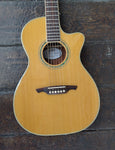 Wetcher Acoustic NV5413CE